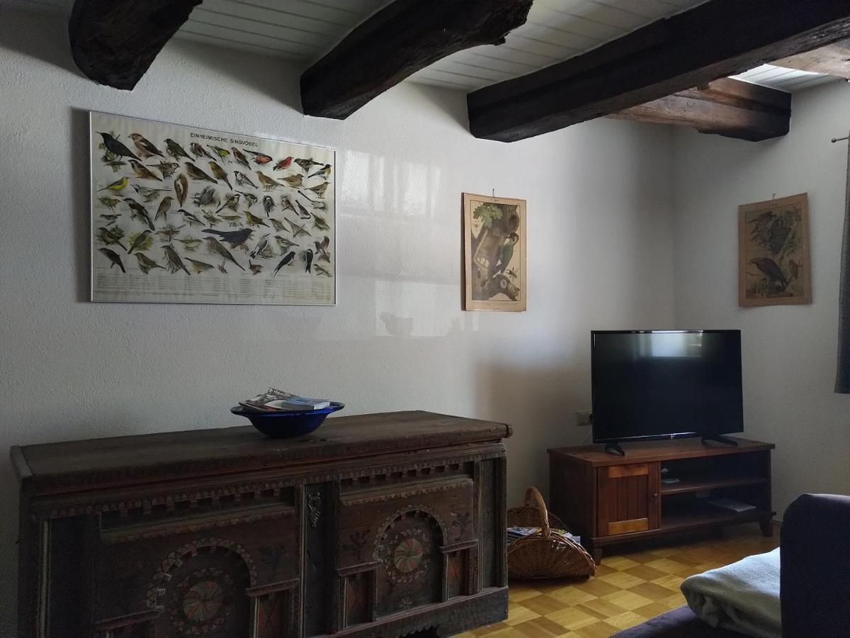 Fewo Im Mesnerhaus Mengen Екстериор снимка